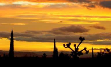 The Voyage of the Dawn Etymologist