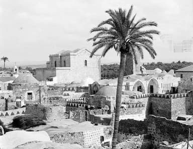 The Uses of Lydda