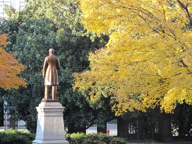 The Future of Universities Must Be Built on Firm Values