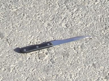 What Palestinians Think about the Knife Intifada